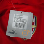 Arsenal Home Shirt 2014-15 detailed view 9