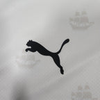 2024-25 Plymouth Argyle Away Shirt - detailed view