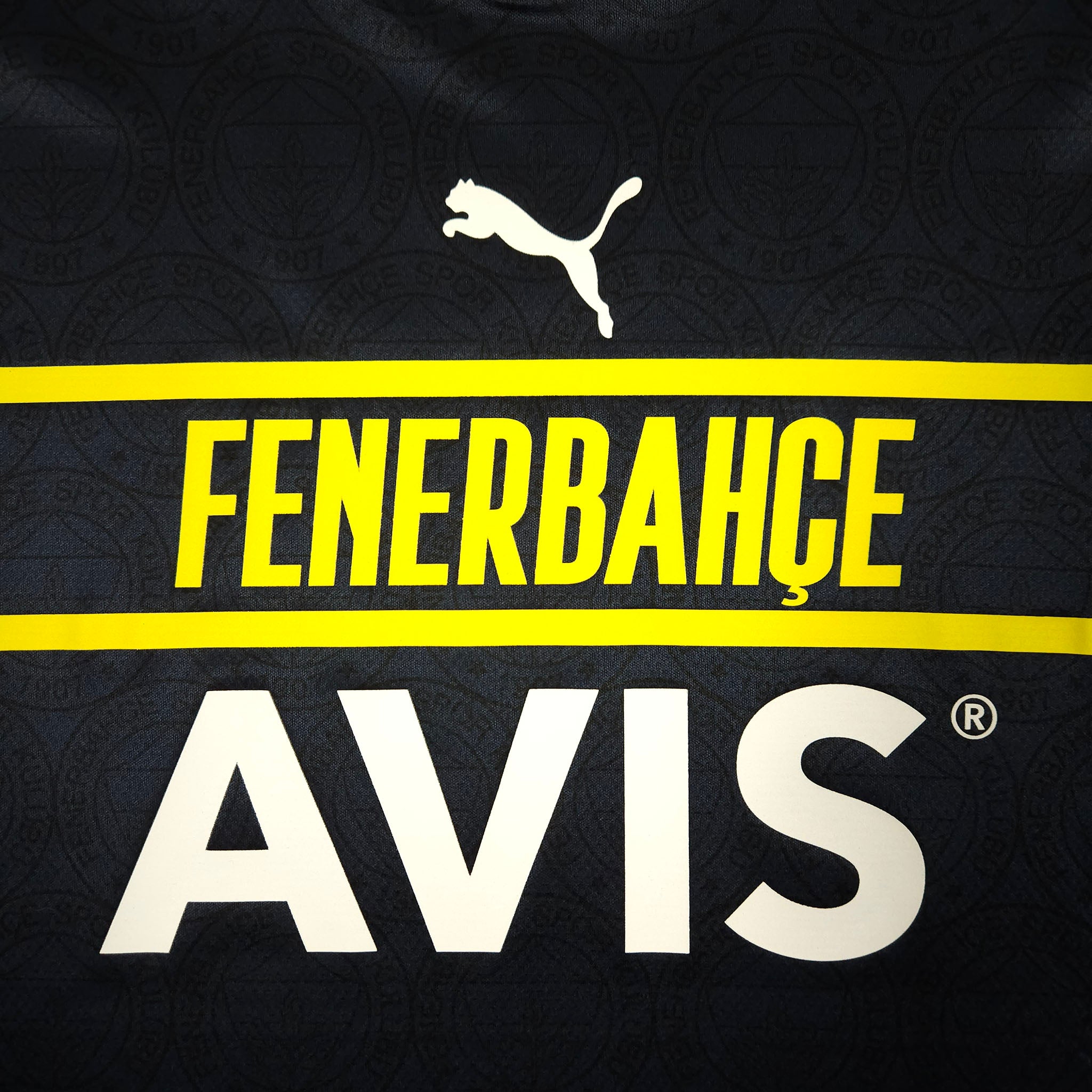 2021-22 Fenerbahce Third Shirt detailed view 2