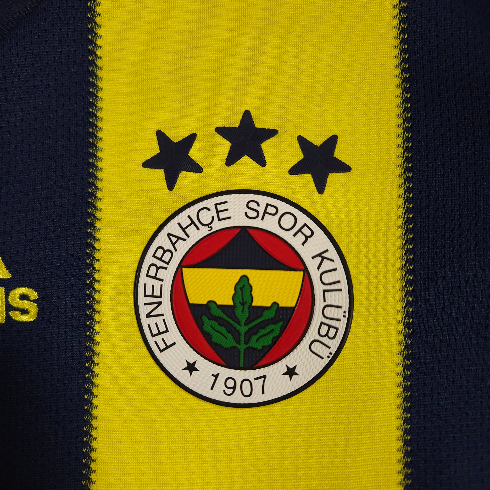 2018-19 Fenerbahce Home Shirt detailed view 1