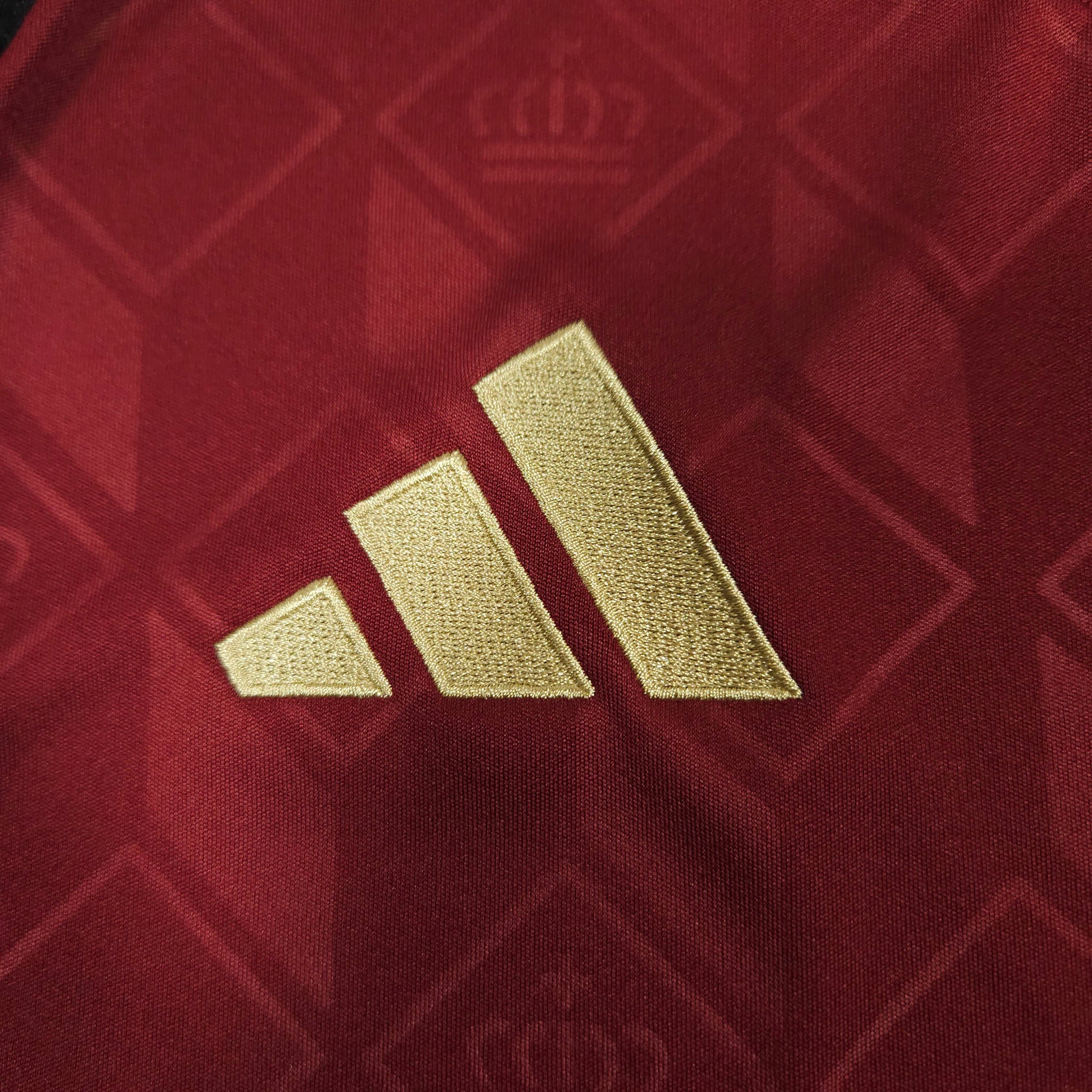 Belgium Home Shirt 2024-25 detailed view 3