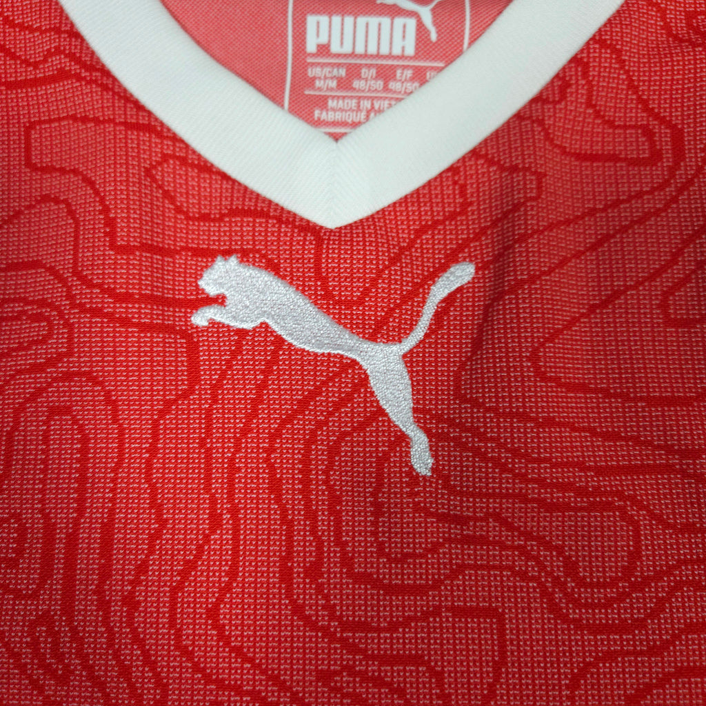Switserland Home Shirt 2018-19 detailed view 3
