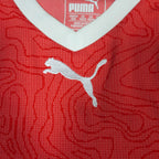 Switserland Home Shirt 2018-19 detailed view 3