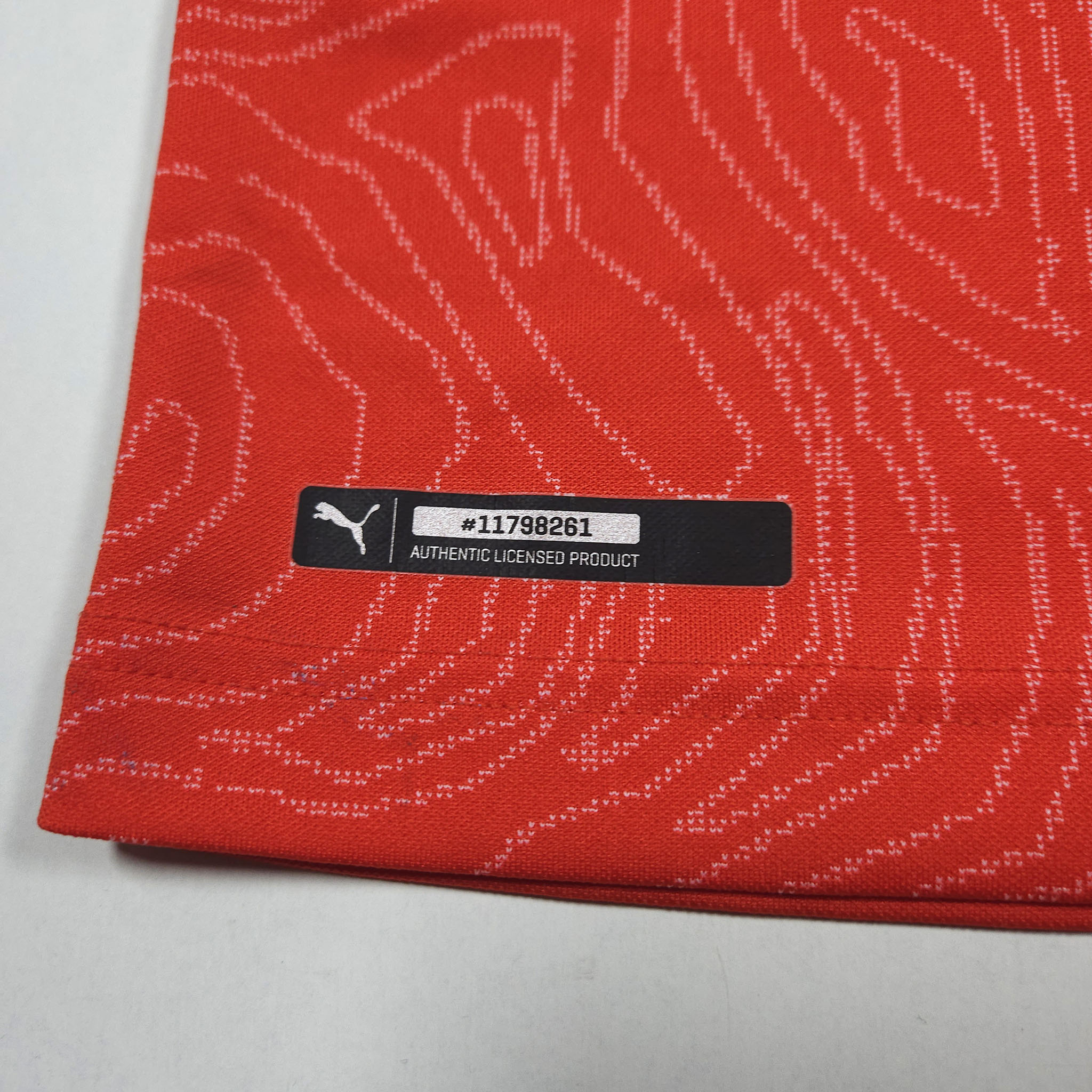 Switserland Home Shirt 2018-19 detailed view 6