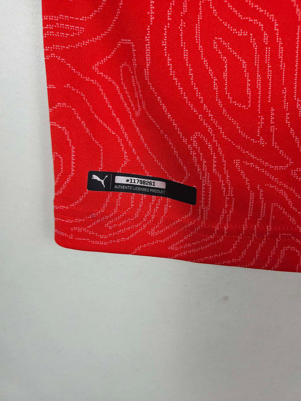 2018-19 Zwitserland thuisshirt