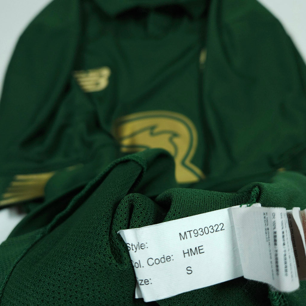 Ireland Home Shirt 2019-20 detailed view 11