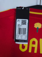 2024-25 Spanje thuisshirt Gavi #9 (LS)