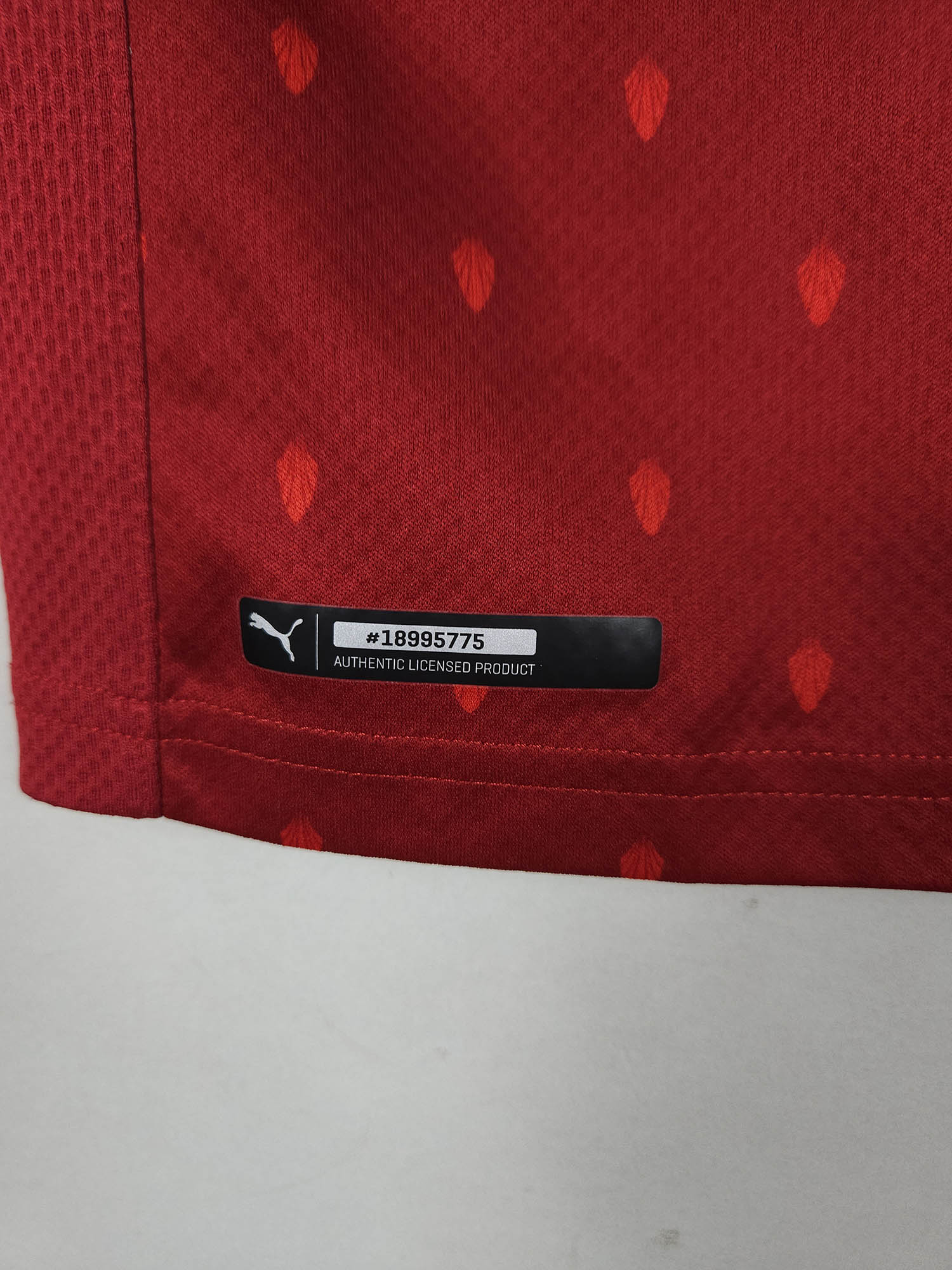 2020-22 Oostenrijk thuisshirt
