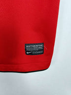 2010-11 Manchester United thuisshirt Nani #17 - detailfoto
