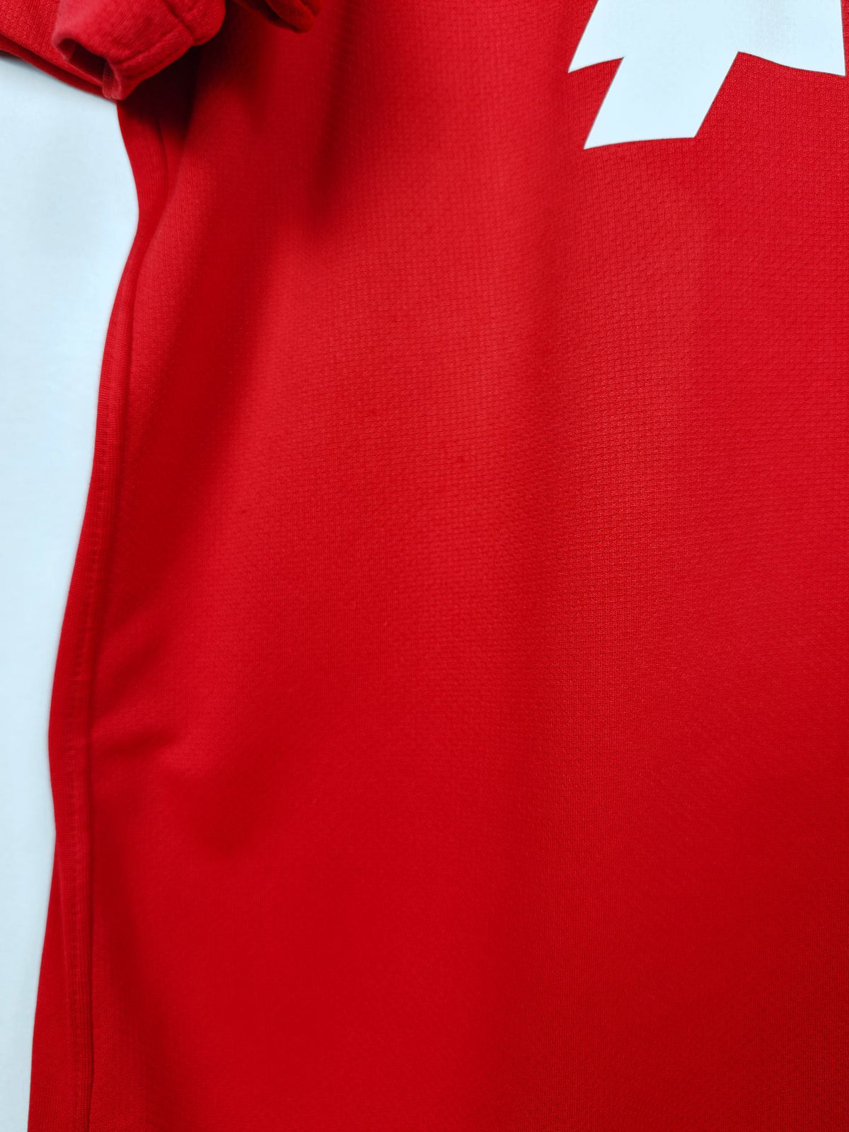 2010-11 Manchester United thuisshirt Nani #17 - detailfoto