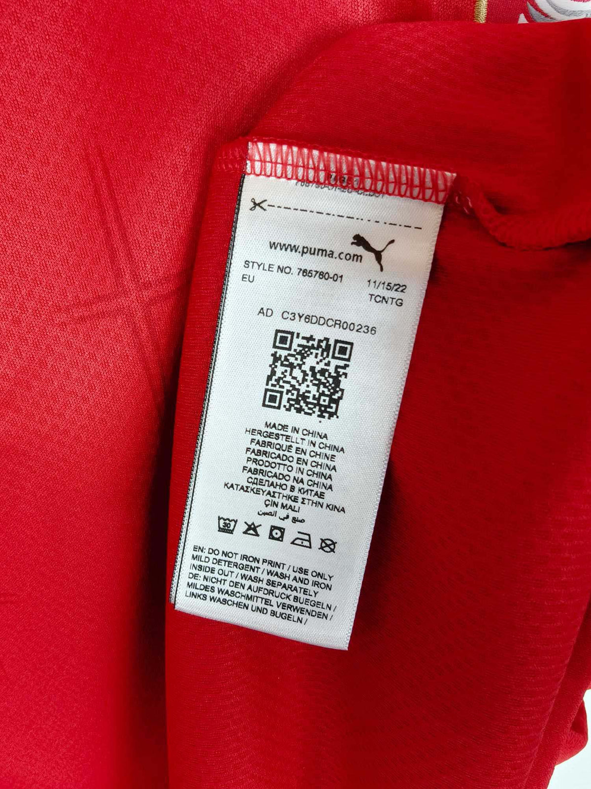 2022-23 Serbia Home Shirt - detailed view
